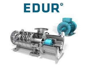 edur