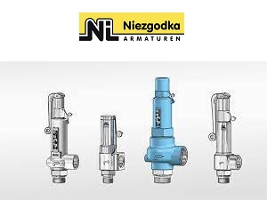 niezgodka